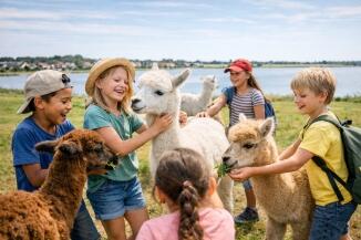 Alpaka Feriencamp Sommerferien