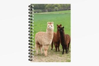 3D Notizbuch Alpakas klein