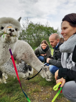 Alpaka Schnupperkurs