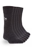 Alpaka Business Socken in schwarz