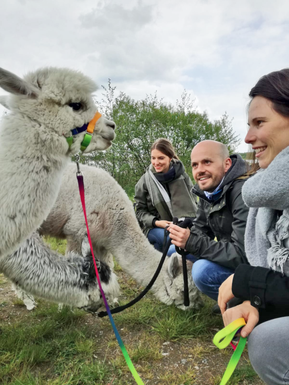 Alpaka Schnupperkurs